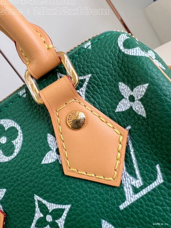 WIS 18 VUITTON SPEEDY LOUIS 1231
